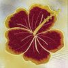 Hibiscus - Maria Laura Art - Bead Mosaic